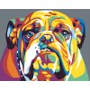 Maľovanie podľa čísel - BULDOG II