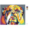 Maľovanie podľa čísel - BULDOG II