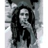 Maľovanie podľa čísel - FAJČIACI BOB MARLEY