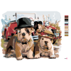 image with color metadata