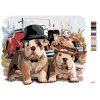 Maľovanie podľa čísel - BULDOČÍKOVIA S VETERÁNOM