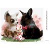 Diamantové maľovanie - ŠTENIATKO S ČERVENÝM KRÁLIKOM