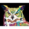 Maľovanie podľa čísel - FAREBNÁ SOVA
