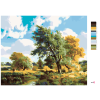 image with color metadata