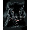 Maľovanie podľa čísel - ČIERNA PUMA