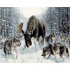 Maľovanie podľa čísel - LOS S VLKMI