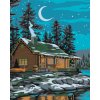 Maľovanie podľa čísel - CHATA POD NOČNOU OBLOHOU