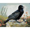 Diamantové maľovanie - HAVRAN A KÁVA (HOLLY SIMENTAL)