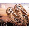 Diamantové maľovanie - SOVY - PUŠTÍK OBYČAJNÝ (HOWARD ROBINSON)