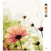 Maľovanie podľa čísel - ROZKVITNUTÝ KVET NA LÚKE