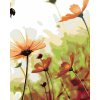 Maľovanie podľa čísel - KVETINOVÁ LÚKA
