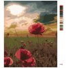 Maľovanie podľa čísel - VLČIE MAKY A ZÁPAD SLNKA