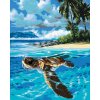 Maľovanie podľa čísel - MORSKÁ KORYTNAČKA