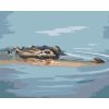 Diamantové maľovanie - ALIGÁTOR HLAVA PLÁVAJÚCA VO VODE (D. RUSTY RUST)