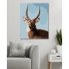 Diamantové maľovanie - ANTILOPA PORTRÉT (D. RUSTY RUST)