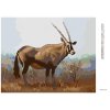 Diamantové maľovanie - ANTILOPA V SAVANE (D. RUSTY RUST)