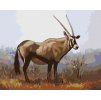 Diamantové maľovanie - ANTILOPA V SAVANE (D. RUSTY RUST)
