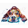 Diamantové maľovanie - BÍGL VO FARBACH