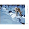 Diamantové maľovanie - JELEŇ PRI ZAMRZNUTOM POTOKU (D. RUSTY RUST)