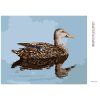 Diamantové maľovanie - KAČICA PLÁVAJÚCA PO VODE (D. RUSTY RUST)