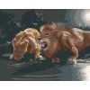 Diamantové maľovanie - LEV A LEVICA PRI NAPÁJADLE (D. RUSTY RUST)