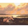 Diamantové maľovanie - LEŽIACE SRNY A VÝCHOD SLNKA (D. RUSTY RUST)
