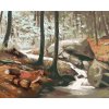 Diamantové maľovanie - LÍŠKA PRI POTOKU (D. RUSTY RUST)
