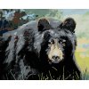 Diamantové maľovanie - MEDVEĎ POHĽAD DO OČÍ (D. RUSTY RUST)