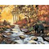 Diamantové maľovanie - MEDVEĎ PRI RIKE A ZÁPADE SLNKA (D. RUSTY RUST)