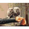 Diamantové maľovanie - MLÁĎATÁ SOVY NA ZRÚBANOM STROME (D. RUSTY RUST)