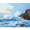 Diamantové maľovanie - VLNY UDIERAJÚCE NA SKALY A ČAJKY (D. RUSTY RUST)
