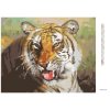 Diamantové maľovanie - ODPOČÍVAJÚCI TIGER PORTRÉT (D. RUSTY RUST)