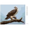 Diamantové maľovanie - OROL NA KONÁRI 2 (D. RUSTY RUST)