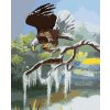 Diamantové maľovanie - OROL NA KONÁRI PRI VODE (D. RUSTY RUST)