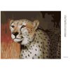 Diamantové maľovanie - POHĽAD GEPARDA (D. RUSTY RUST)