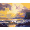 Diamantové maľovanie - VTÁKY LETIACE NAD MOROM PRI SÚMRAKU (D. RUSTY RUST)