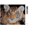 image with color metadata