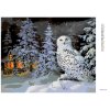 Diamantové maľovanie - SNEŽNÁ SOVA V LESE A CHATA V ZIME (D. RUSTY RUST)