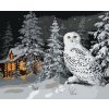 Diamantové maľovanie - SNEŽNÁ SOVA V LESE A CHATA V ZIME (D. RUSTY RUST)