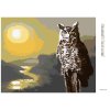 Diamantové maľovanie - SOVA, RIEKA A ZÁPAD SLNKA (D. RUSTY RUST)