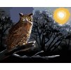 Diamantové maľovanie - SOVA SEDIACA NA KONÁRI V NOCI (D. RUSTY RUST)