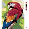 Maľovanie podľa čísel - FAREBNÝ PAPAGÁJ