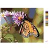 Maľovanie podľa čísel - MOTÝĽ A KVITNÚCE KVETY