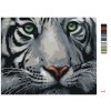 Maľovanie podľa čísel - HLAVA BIELEHO TIGRA
