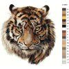 Maľovanie podľa čísel - HLAVA TIGRA