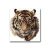 Maľovanie podľa čísel - HLAVA TIGRA