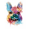 Maľovanie podľa čísel - MAĽOVANÝ BULDOČEK