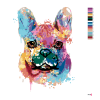 image with color metadata