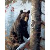 Obrazy na stenu - Medveď pri stromčeku