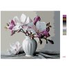 Maľovanie podľa čísel - MAGNÓLIE